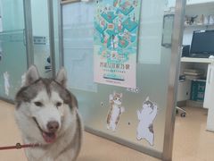 -宠颐生中康贝怡动物医院