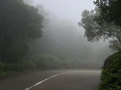 -梧桐山风景名胜区