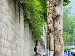 -重庆市江北嘴中央商务区中央公园