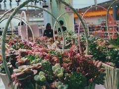 -KKV(深圳宏发大仟里店)