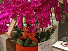 -康逸居·始于2002(海安店)