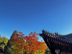 -香山公园