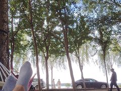 -丁香湖公园