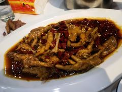 -大孩龙虾(体育场旗舰店)
