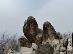 -北京鹫峰国家森林公园