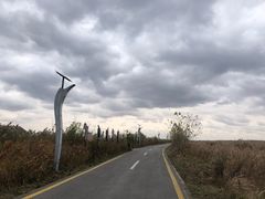 -盐城丹顶鹤湿地生态旅游区