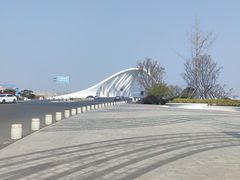 -星光岛