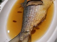清蒸鲥鱼-金米箩大酒店(五角场店)