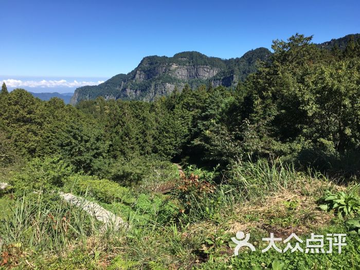 阿里山國家風景區-圖片-阿里山景點-大眾點評網