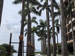 -三亚亚龙湾红树林度假酒店