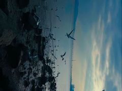 -深圳湾公园(南山区)