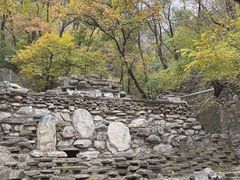 -北京上方山国家森林公园