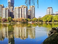 -木塔寺遗址生态公园