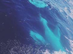 -码头餐厅