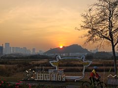 -光明小镇欢乐田园