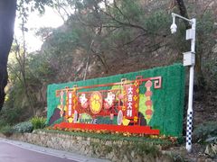 -金鸡山公园