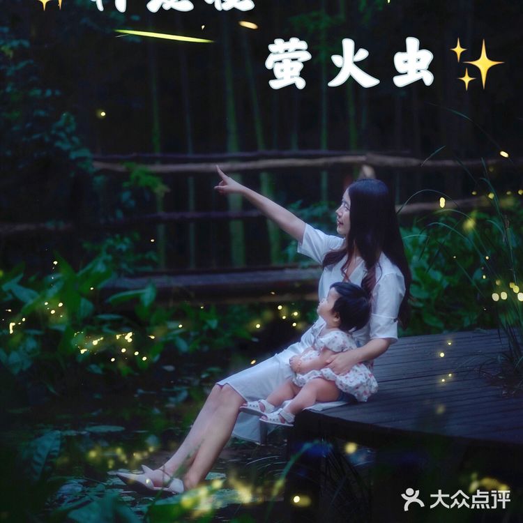 🌟莫干山zui梦幻的萤火虫基地,私藏的宝藏地