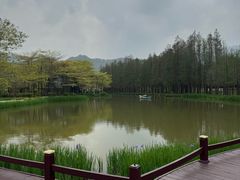 -森波拉奇妙世界