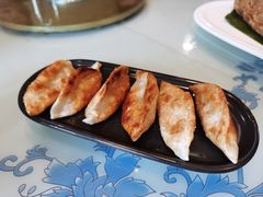 -东方饺子王(新阳路店)