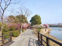 -苏州太湖国家湿地公园