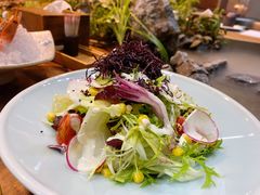 沙拉-森味薪火烧•烧鸟居酒屋•日本料理(望京店)