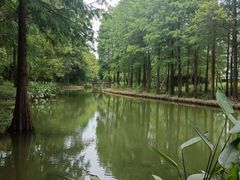 -西溪国家湿地公园