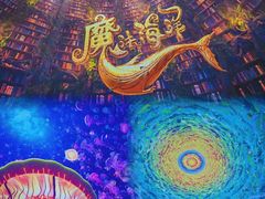 -海合安武汉极地海洋公园