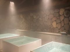 -漢頓温泉度假酒店