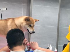 -宠福鑫康馨动物医院·骨科·眼科