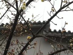 -南京市江宁方山