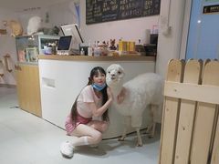 -Heymao猫咖.咖啡厅(东门店)