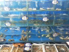 水产区-小船渔村•大连菜•大连焖鱼(明泽街店)