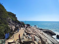 -广东惠东海龟国家级自然保护区