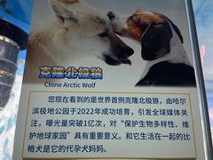 -哈尔滨极地公园