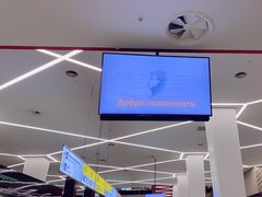 -谢列梅捷沃国际机场