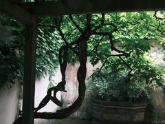 -惠山古镇·寄畅园