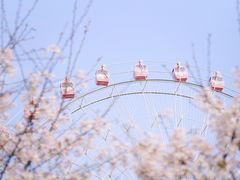 -东湖磨山景区