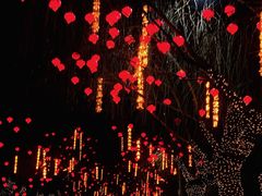 -瀛海足球主题公园