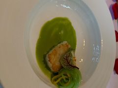 -蝶舍·MAISON PAPILLON