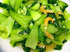 金钩小海米油菜-来之顺海鲜菜馆·青岛菜·始于1993(栈桥店)