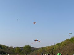 -羊山湖公园