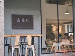 -猫里有甜