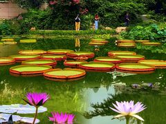 -国家植物园南园