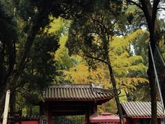 -成都武侯祠博物馆