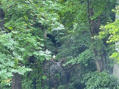 -吴山景区