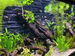 -上海海洋水族馆