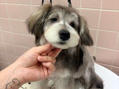 -FAELING PETS美天灵宠物(富力广场店)