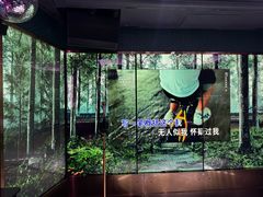 -纯K(打浦桥店)