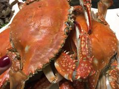 -张树军海鲜(王府壹号店)