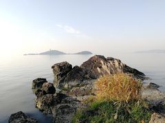 -上海市保健医疗中心(华东疗养院)